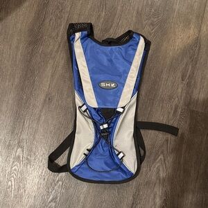 Blue and Gray Men's Backpack
